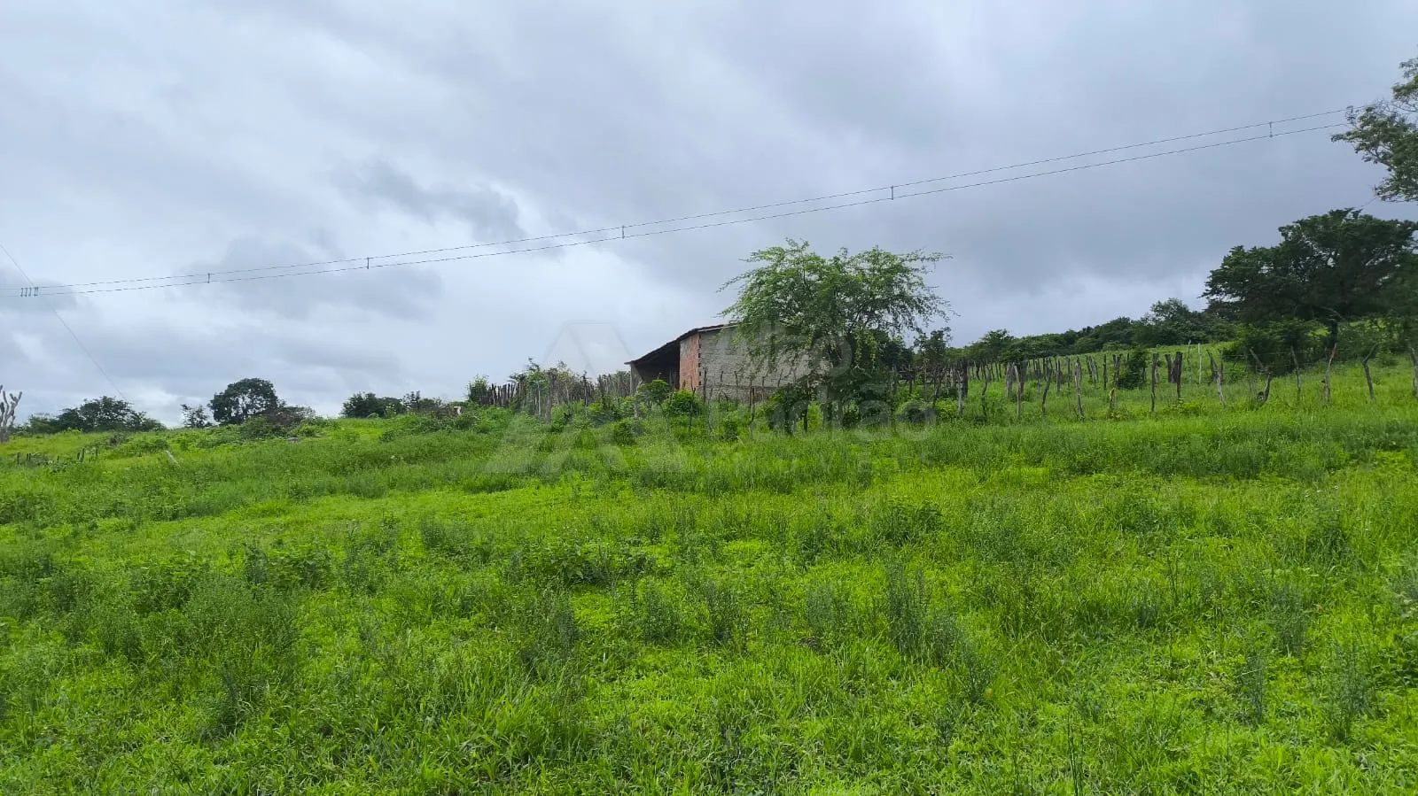  MINI FAZENDA EM SÃO CAETANO-PE