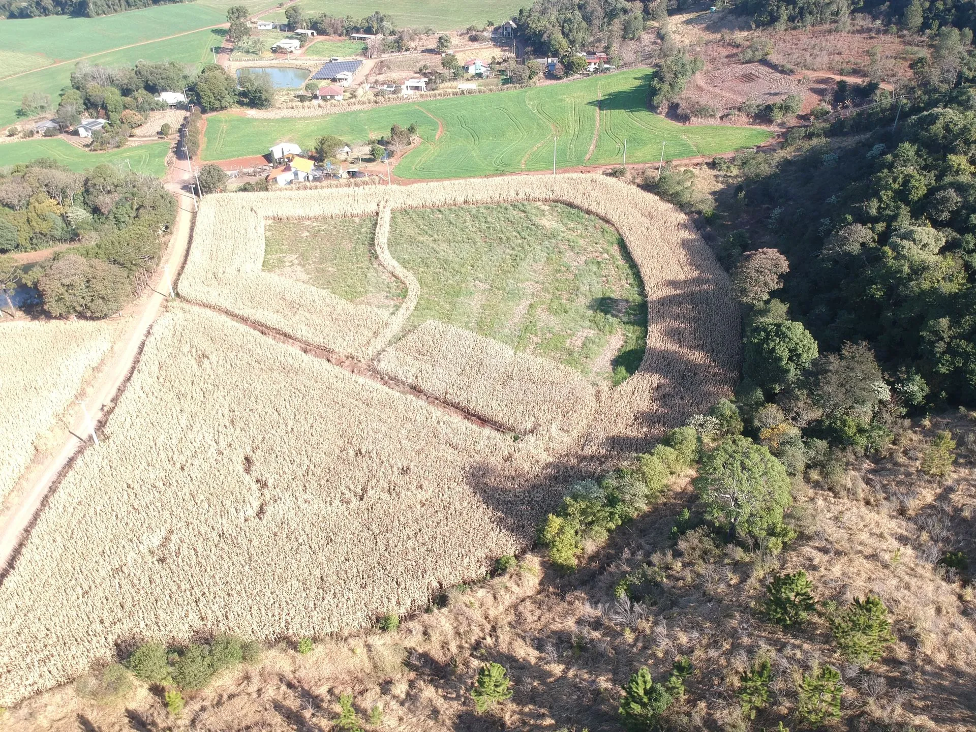 Propriedade Rural à venda na Linha São Paulo