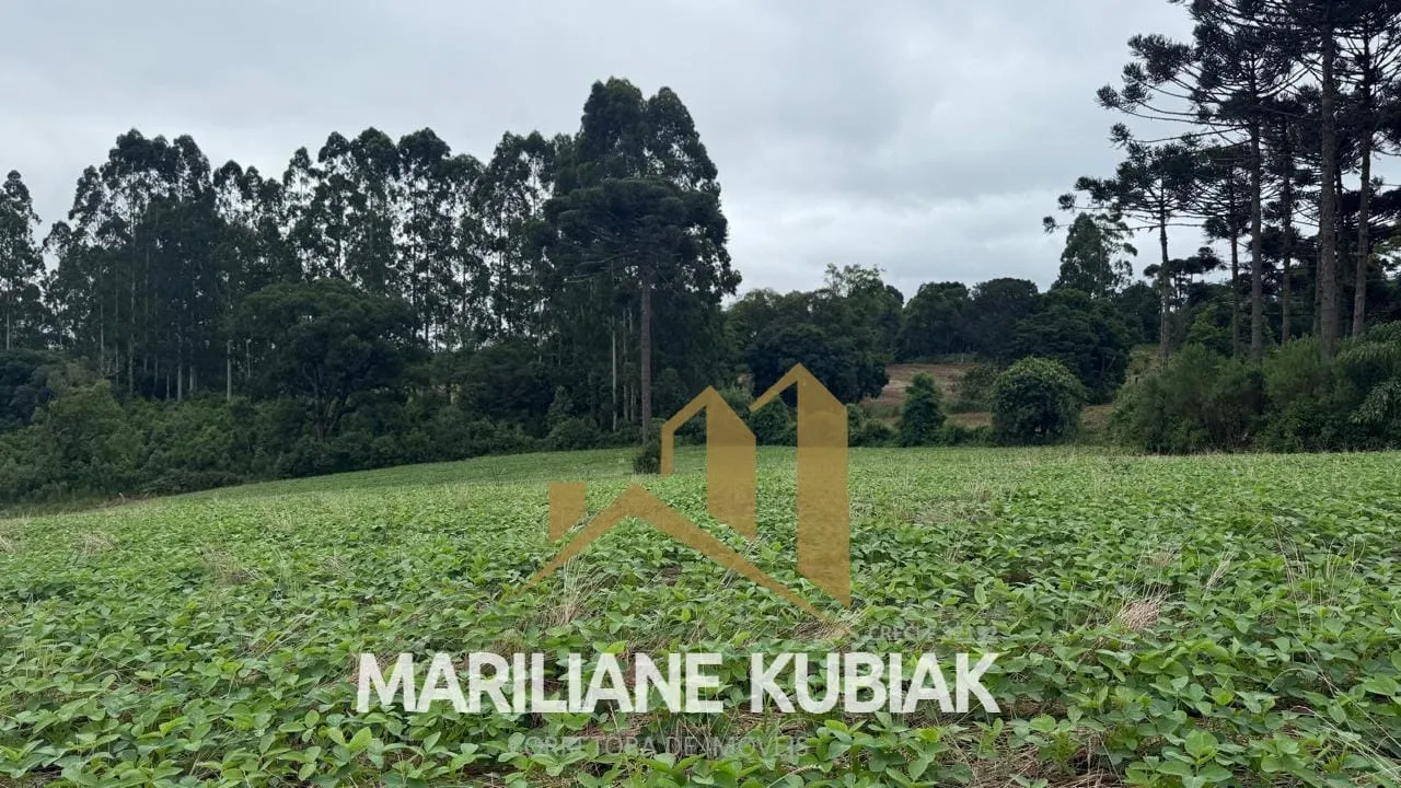 Terreno Rural á venda no Pontilhão