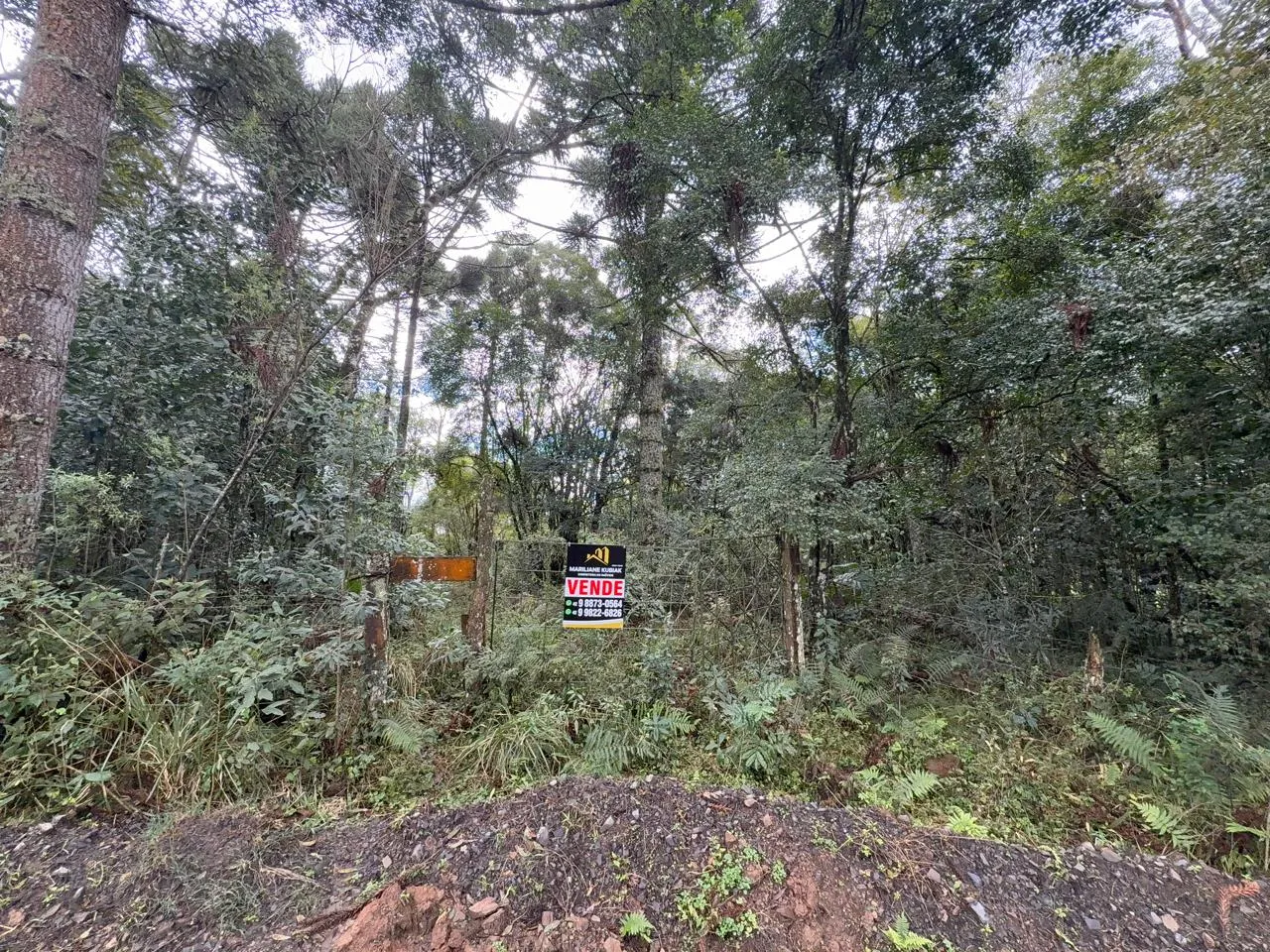 Terreno Rural á venda na Tesoura!!