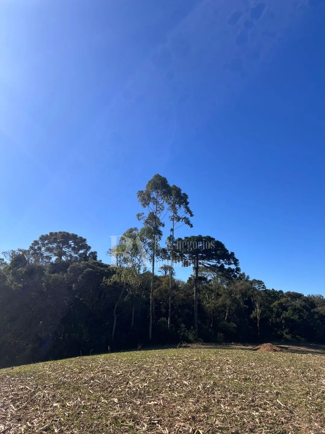 Terreno à venda no Bairro Lençol, São Bento do Sul, SC