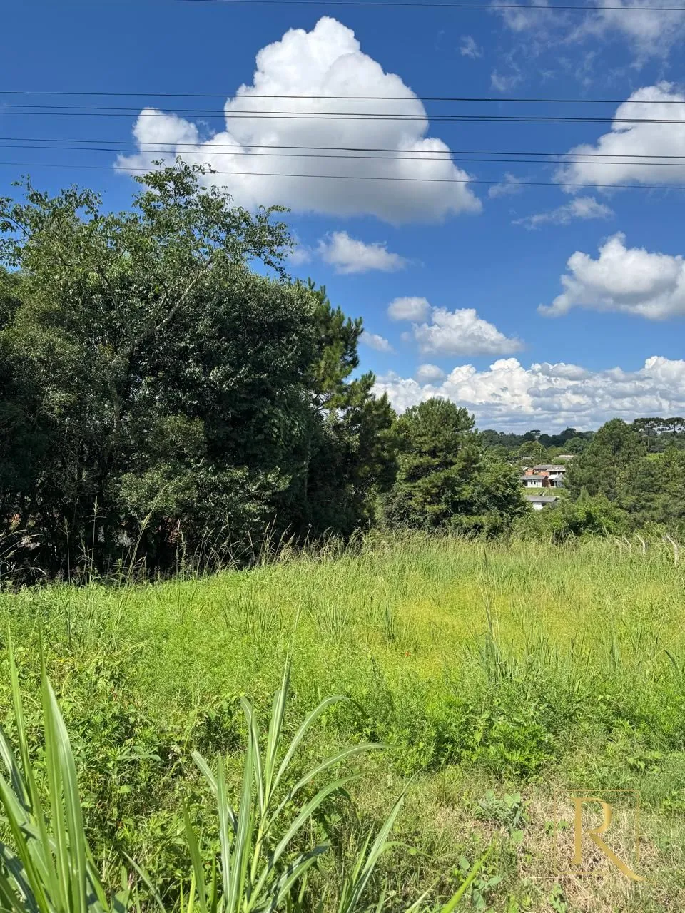 Terreno em rua Pavimentada à Venda - Bairro Vila Nova